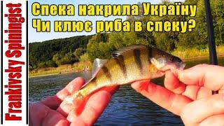 Спека накрила Україну | Зафіксований рекорд анамальної жари | Чи клює риба в спеку?