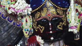 Shri Radha Vallabh Lal, Vrindavan Darshan | Braj Ras