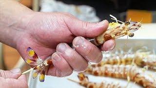 Japanese Street Food - LIVE SHRIMP & BLACK GARLIC SQUID Okinawa Seafood Japan