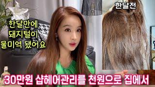 Home Care for Korean Celebrities' Hair