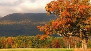 Nature: Catskills