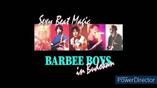 BABEE BOYS   BARBEE BOYS IN 武道館 Sexy Beat Magic    1986年11月4日に日本武道館で行われたバービーボーイズのLIVE　音源のみ