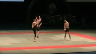Festival Asian Martial Arts - Wushu