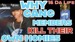 WHY WOULD A GANG MEMBER KILL HIS HOMIE ????