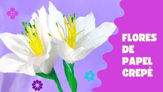 LILYS  FLORES DE PAPEL CREPÉ FACILES Y BONITAS #floresdepapel #flores #paperflower