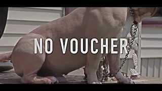 C Struggs Ft. Trap Boy Freddy - No Voucher (Music Video)