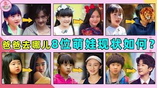 《爸爸去哪儿》9周年，8位萌娃现状如何？有人14岁私照满天飞，有人节目结束终身残疾，有人走上国际舞台！森碟，张天天，贝儿，Neinei，小泡芙，Grace，黄磊，多多，王诗龄，郭子睿，小石头，小鱼儿