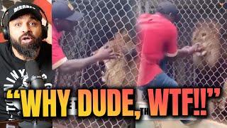 Black Guy Plays With LION and Loses His Whole Finger!