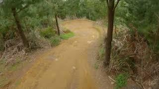 Whangamata Ridges   Undertow