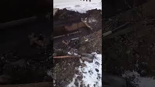 Всё прогнило, всю систему менять надо!