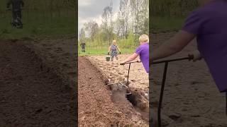 The process of plowing the land using a gasoline engine and a cable