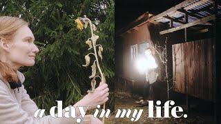 ONE DAY Rural Life Without A Car, Renovating and Food Shopping | almost ASMR (Story 37)