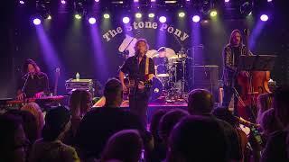 Steve Forbert - "Worried Life Blues" (Live at The Stone Pony in Asbury Park, NJ, 5/17/25) [Audio]