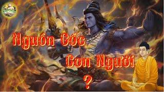 Nguồn Gốc Con Người Từ Đâu? Tuổi Thọ Tối Đa 84 Nghìn Năm Bạn Có Tin Không?