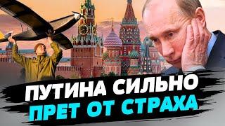 Путину хочется, чтобы был порядок, как при Сталине — Дмитрий Низовцев