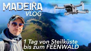 Madeira VLOG : Vom Feenwald zur Steilküste - 1 Tag auf Reisen mit MeAppleCat + DROHNENFLÜGE