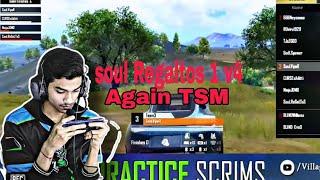 soul vs TSM Regaltos 1v4 again TSM