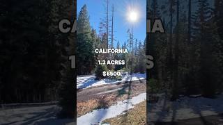 1.3 Acres for Sale in Alturas,  California for $6,500 #land #property #investing #cheap #shorts