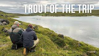 The Trout Of The Trip, Laxa Laxardalur, Northern Iceland 2022