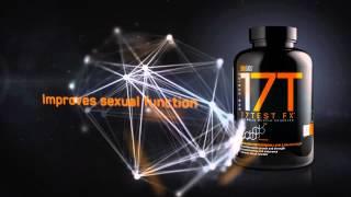 StarLabs Nutrition: 17 Test FX