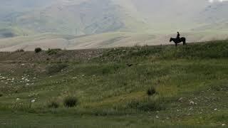 Eagle hunting demonstration Jaichy Camp, Kyrgyzstan 2021.