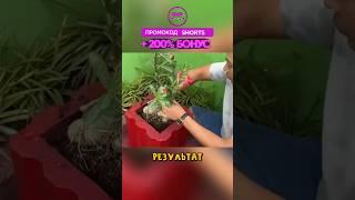 Мужчина использовал железные плитки, чтобы вручную изготовить цветочный горшок