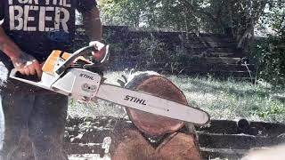 Stihl Ms260 pro vs 345/346