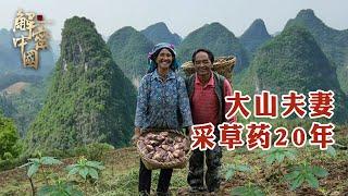 The couple spent 20 years collecting herbs and 6 years transplanting herbs, which were stolen!