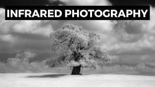 INFRARED landscape PHOTOGRAPHY and an AWESOME tree