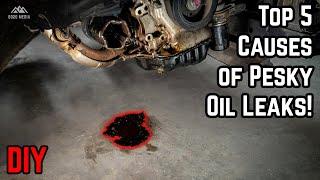 Top 5 CAUSES of Oil Leaks!