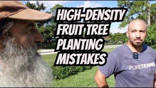 High-Density Fruit Tree Planting Don't Do It