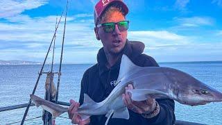 SMOOTHHOUNDS!!! fishing Mumbles pier in Swansea Wales UK, #sharkfishing #smoothhounds #fishing