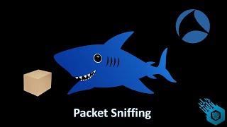 What is Packet Sniffing?