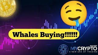 ️CRAZY!!! SFP 400% PUMP INCOMING?!!!!!️‍ Crypto signals analysis + Why is SafePal the best wallet