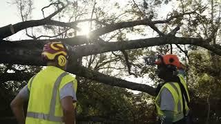 Route Clearance Team Clearing the Way | Hurricane Helene | Team Rubicon