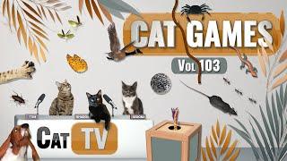 CAT Games | Ultimate Cat TV Compilation Vol 103 | 6 HOURS  