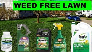 How to Kill all the Weeds in your Lawn in 2020