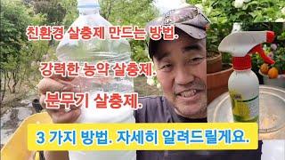 지긋지긋한 '진딧물 살충제' 어렵게 찾지 마세요!! (이걸 딱! 한 번만 뿌려도 싹다 죽어요!!)