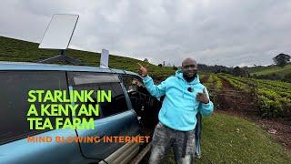 Starlink internet speed tests in the Tea Farms of Limuru Kenya