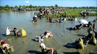 Some 12,000 more Rohingya arrive in Bangladesh in last 24 hours