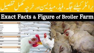 The Untold Secrets: Unveiling the Exact Facts and Figures of Broiler Farming