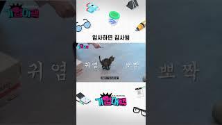 입사하면 집사되는 회사