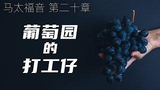 一起读圣经187 - 葡萄园的打工仔 -马太福音 第二十章