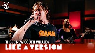 These New South Whales cover Chumbawamba 'Tubthumping' for Like A Version