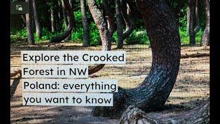 Crooked Tree Forest in NW Poland