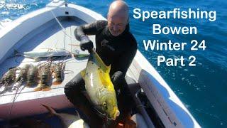 Spearfishing Bowen Winter 24 Part 2