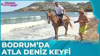 Bodrum'dan Canlı Canlı Son Haberler | Gazete Magazin