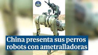 China presenta sus perros robots con ametralladoras