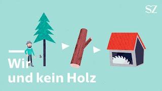 Holz-Knappheit: Warum ist das Holz knapp