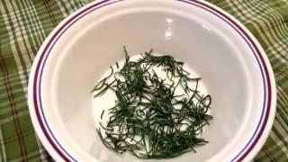 Drying Rosemary Using Your Microwave...Simple Living